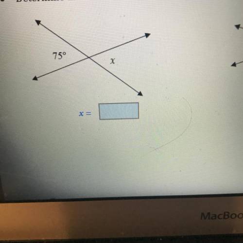 Determine the measure of the unknown variables.