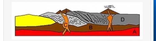 Examine the following diagram. Place the labeled layers in order from youngest to oldest.

Public