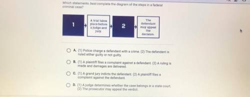 Which statement best complete the diagram of the steps in federal criminal case?