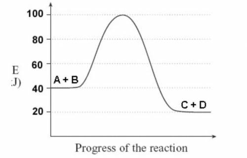 Using the following diagram, determine which of the statements below is true: The activation energy