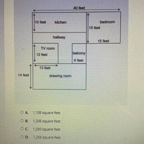 What is the area of the house (including the drawing room, TV room, balcony, hallway, kitchen and b