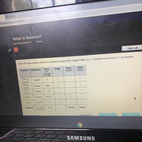 Lab Assess

Given the data shown, what two substances react with vinegar? Hint: (+) = a reaction o