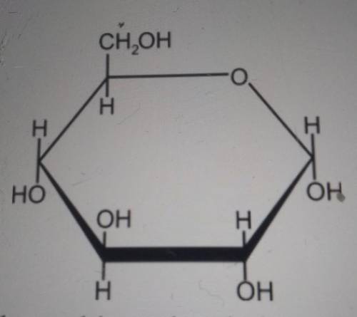What Cellular Process breaks down this molecule into the energy-carrying molecule found in the cell