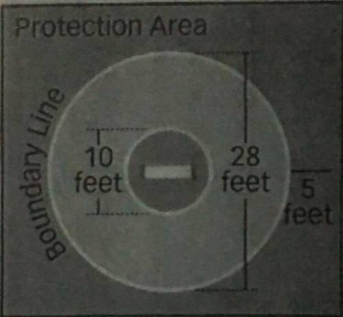 A wrestling mat used for high school competition is shown. The wrestling circle has a diameter of 2