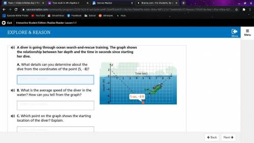 What details can you determine about the dive from the coordinates of the point (5, −8)?