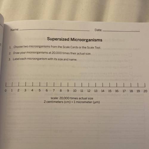 1. Choose two microorganisms from the Scale Cards or the Scale Tool.

2. Draw your microorganisms