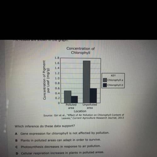 Scientists conducted an investigation to study the possible effects of air pollution on

chlorophy