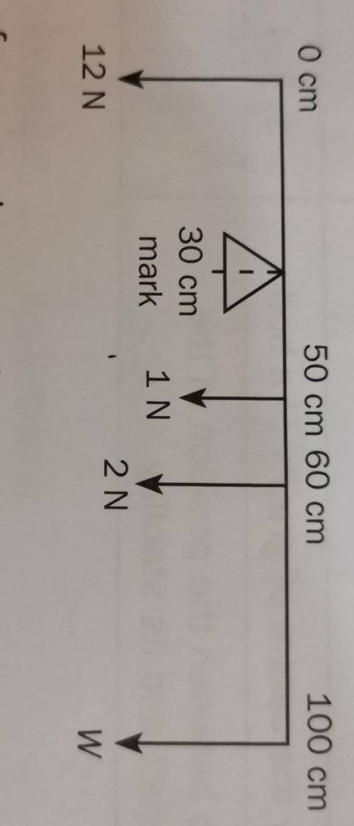 A uniform beam weighing 1 N is used as a metre rule. The beam is supported by a pivot

at the 30 c