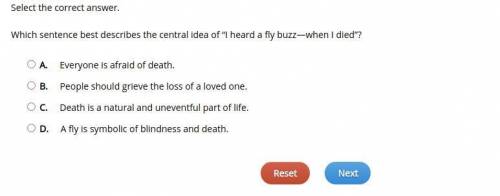 Which sentence best describes the central idea of “I heard a fly buzz—when I died”?