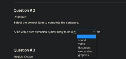 A file with a com extension is most likely to be a(n) ___ file.