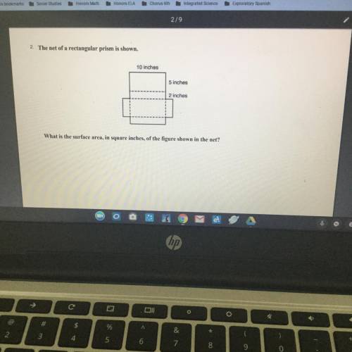 HELP I'm really stupid and I need an answer to this fast!
