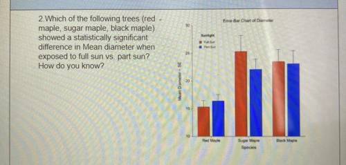 Which of the following trees (red

maple, sugar maple, black maple)
showed a statistically signifi