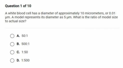 A white blood cell has a diameter of approximately 10 micrometers, or 0.01 um. A model represents i