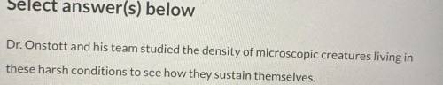 What are the 4 concrete nouns in the sentence besides the pronouns