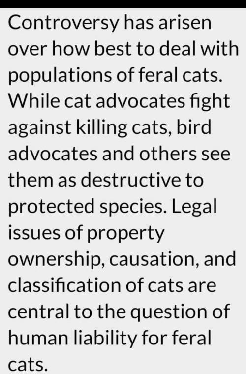 describe the conditions and reasons why feral cats spread viruses so quickly and impact feral cat po