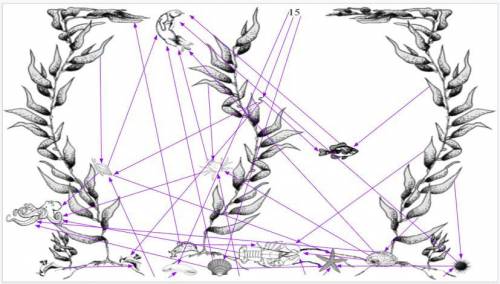 Which one is the longest and shortest food chain? WILL MARK BRAINLEST IF YOU EXPLAIN