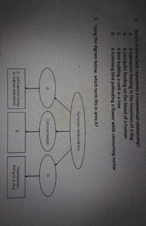 I need help for these 2 questions , the second question options are

A. mutualism B. predation C.