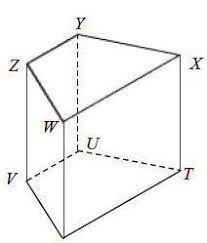 A) Name all segments parallel to

XT. __________________________b) Name all segments parallel toZY