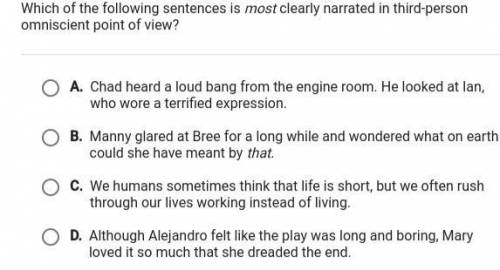 Which of the following sentences is most clearly narrated in third-person omniscient point of view?