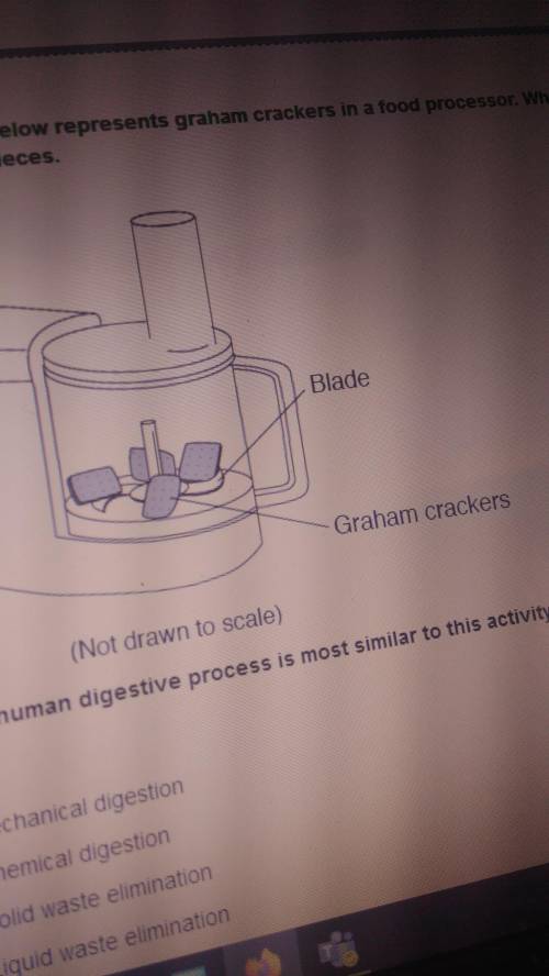 The diagram below represents graham crackers in a food processor. When the processor is turned on t
