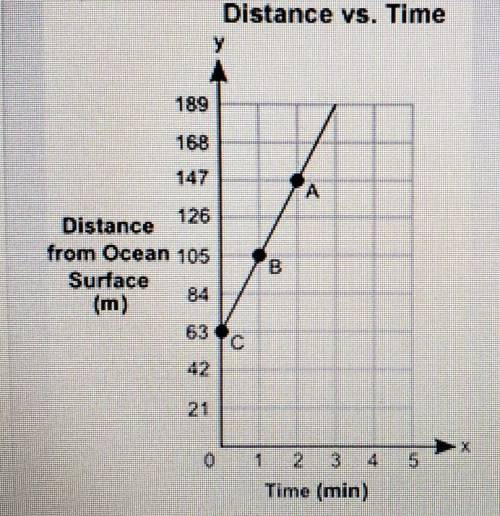 Question 3 (Essay Worth 10 points) (05.05 MC) The graph shows the depth. y, in meters, of a shark f