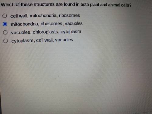 Which of these structures are found in both plant and animal cells?