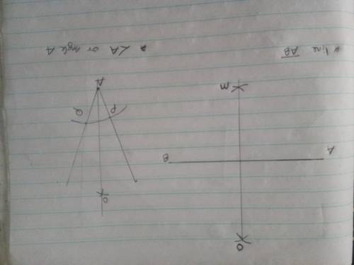 Construct a line segment or an angle—it's your choice! Then, bisect the segment or angle you constru