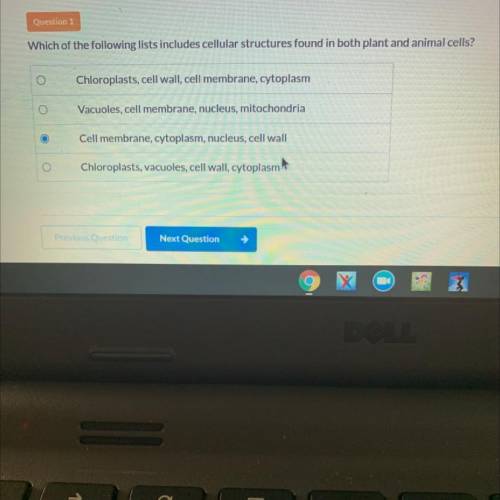 Question 1

Which of the following lists includes cellular structures found in both plant and anim