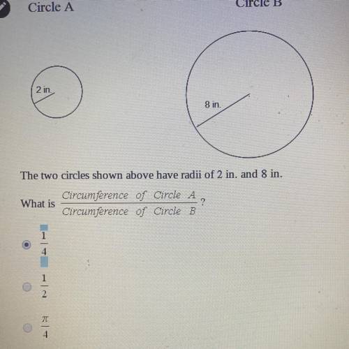 What is the circumference