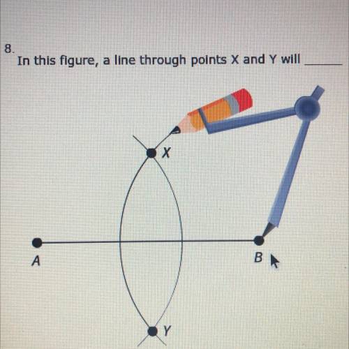 HELPHELP

In this figure, a line through points x and y will ______.
A. Be