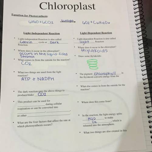 Can someone help fill in the blanks please?? ABOUT CHLOROPLAST