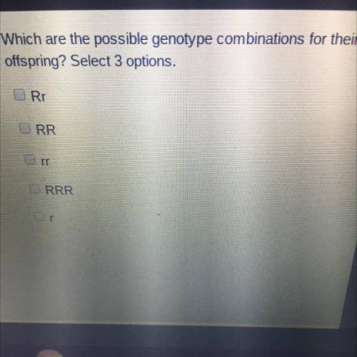 Which are the possible genotype combinations for their

offspring? Select 3 options.
Rr
RR
rr
RRR