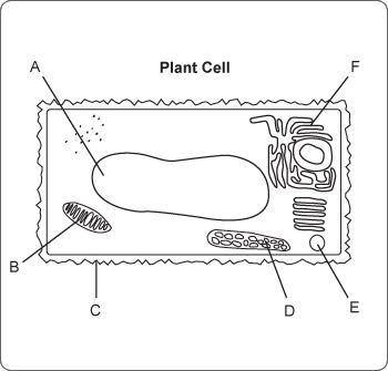 PLEASE HELP. I WILL GIVE YOU BRAINLIEST!

Which terms correctly identify the indicated structures