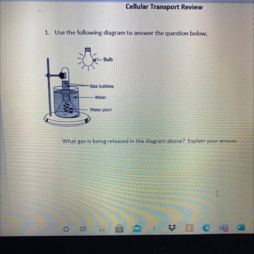 1. Use the following diagram to answer the question below.

Bulb
Gas bubbles
Water
Water plant
Wha