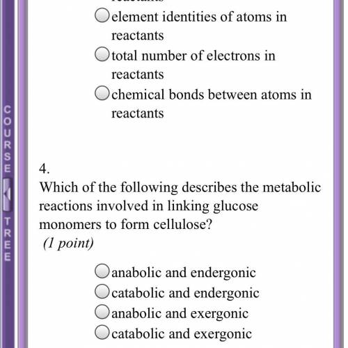 Does anyone know all the answers???