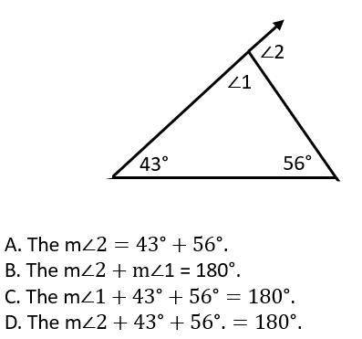 Which of the following is NOT a true statement about the angles in the figure below?