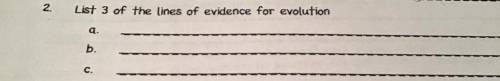 Can y’all just list 3 evidence for evolution. Total 3 sentences!!!

(WILL MARK BRAINLIEST) promise