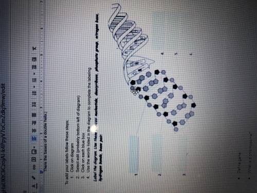 Label the diagram using these choices: Nucleotide, Deoxyribose, Phosphate group, nitrogen base, Hyd