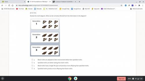 Review the moth diagram. What can be correctly inferred from the information in the diagram?