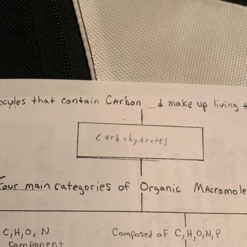 Four main categories of organic molescules.