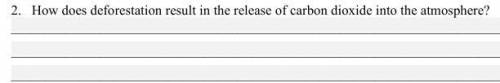 How does deforestation result in the release of carbon dioxide into the atmosphere?