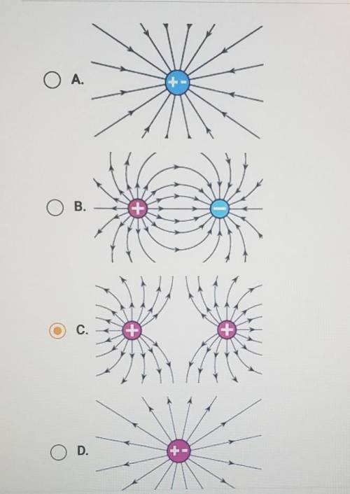 Hurry plz

Question 4 of 10 Which diagram best shows the field lines around two particles with opp