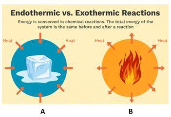 There are two types of physical changes and chemical reactions- endothermic and exothermic. On the