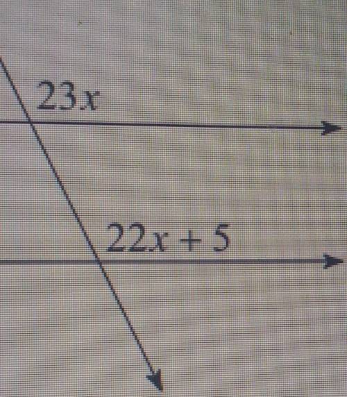 I need help solving for x