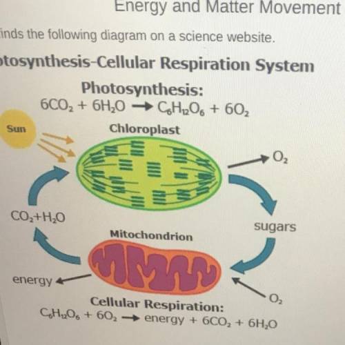 Which statement BEST describes the movement of energy and matter in this system?

A
Matter and ene