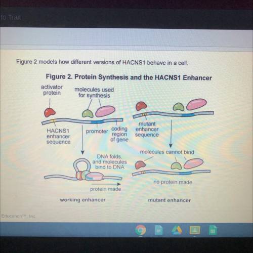 30. Use Figure 2 to answer the question.

The model shown in Figure 2 can bost be used to explain