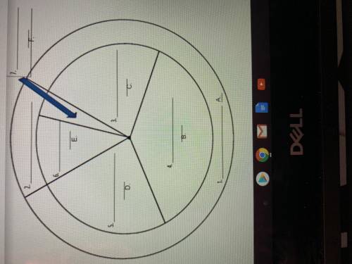 This is a cell cycle do y’all know the words that go with it?