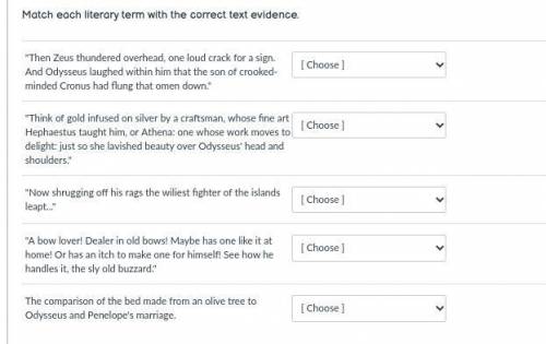 Match each literary term with the correct text evidence.

Extended metaphor
Allusion 
Dramatic iro