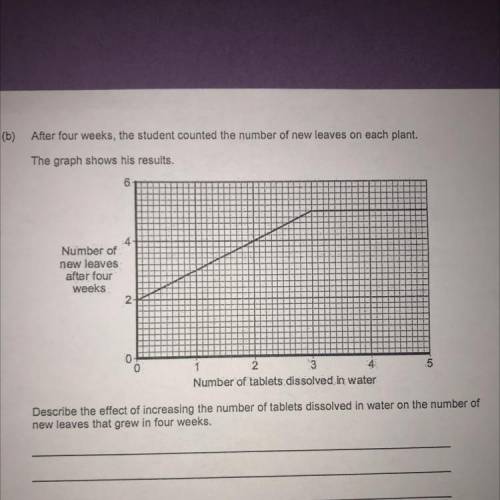 Describe the effect of increasing the number of tablets dissolved in water on the number of new lea