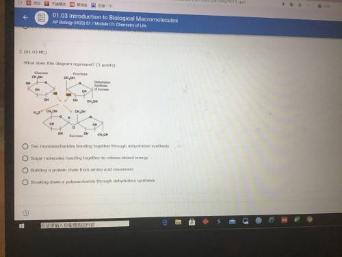 What does this diagram represent ? Biology